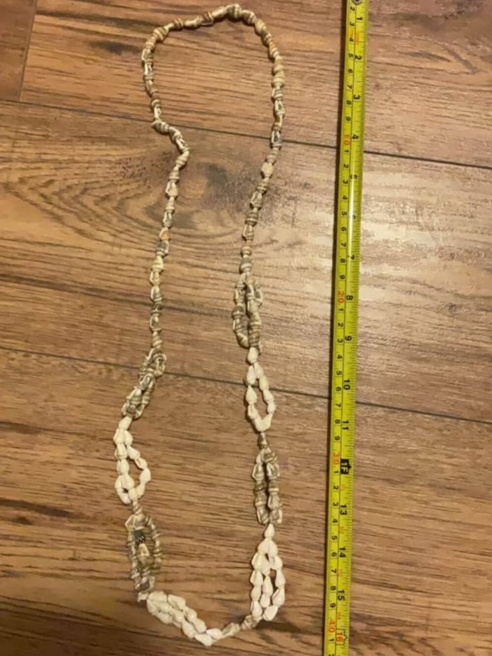 seashell necklace